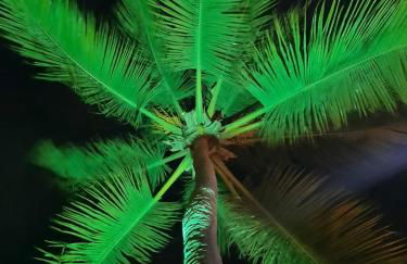 Côco Verde - Pousada Icaraí Kite Village - Foto 24