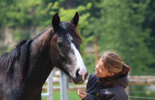 Agriturismo Le Querce del Vareglio - Foto 18