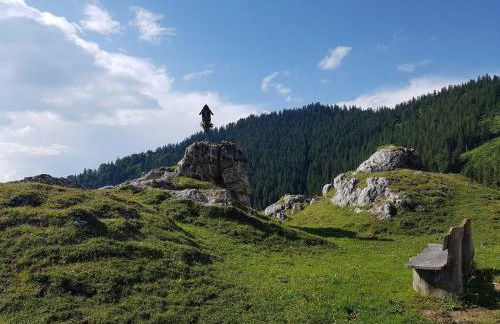 Haus Wiesenblick - Foto 35