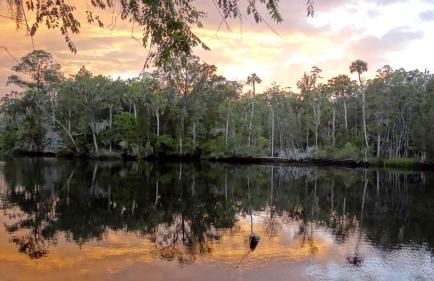 Rustic Cabin Rental Located in St. Marks Wildlife Refuge, Florida - Foto 15
