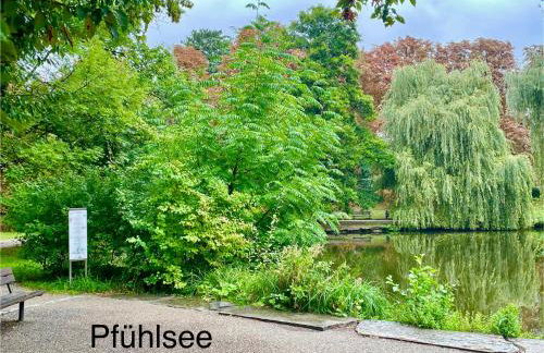 -Am Pfühlpark- Ferienwohnung - Foto 31