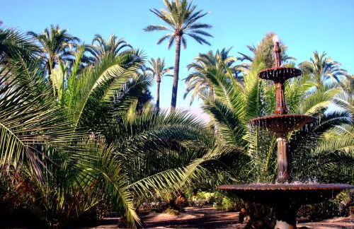 Apartamentos Concha del Mar - Foto 36