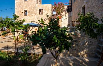 Pandera areopoli - Foto 23