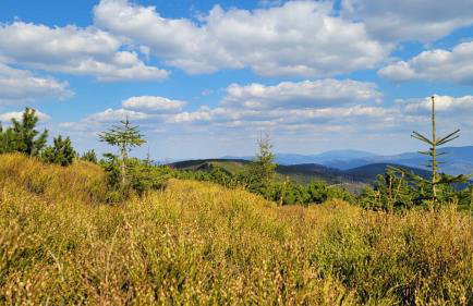 Superior Laguna Beskidow 3 Rooms! Sauna&Gym! Air Condition! - Foto 49