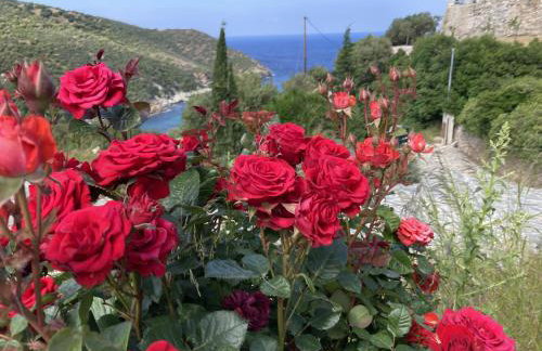 Villa Pebbles - Foto 72