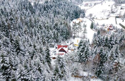 Chata Pod Lasem - Foto 64