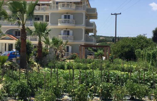 Hotel Villa Basil - Photo 56