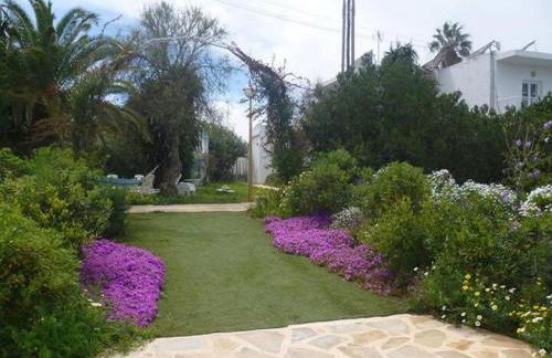 Apartamento Ciel Azul - Foto 10