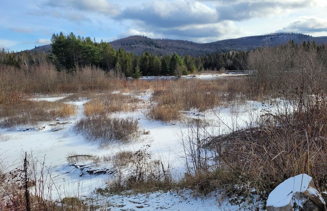 Stunning 2-bed House - Photo 17