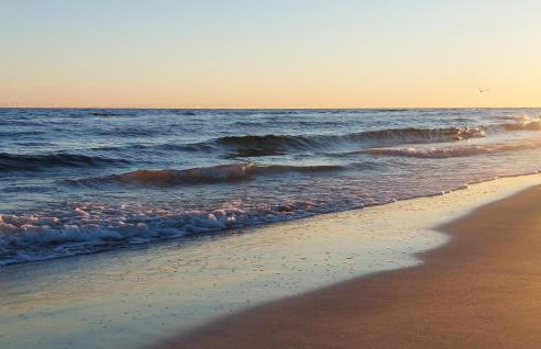 Gorgeous Home In Kolobrzeg With Sauna - Foto 19