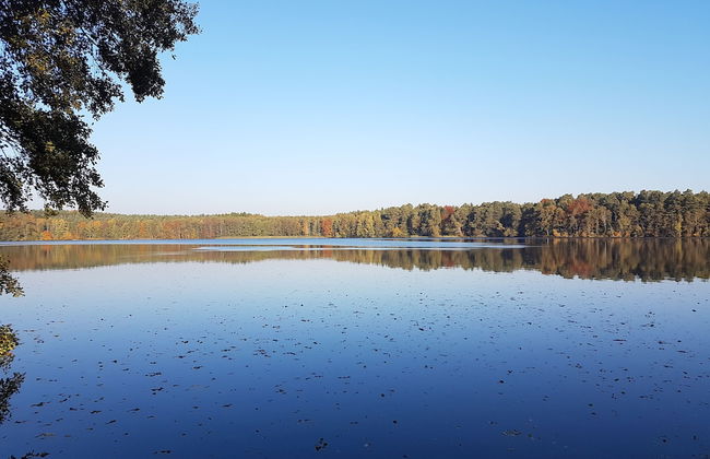 Ferienanlage Am Sidowsee - Foto 20