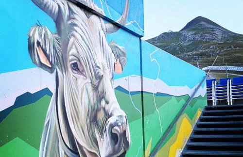 FLOR de MONTANHAS Appt vacances 4P- La Pierre St Martin GR10 - Foto 28