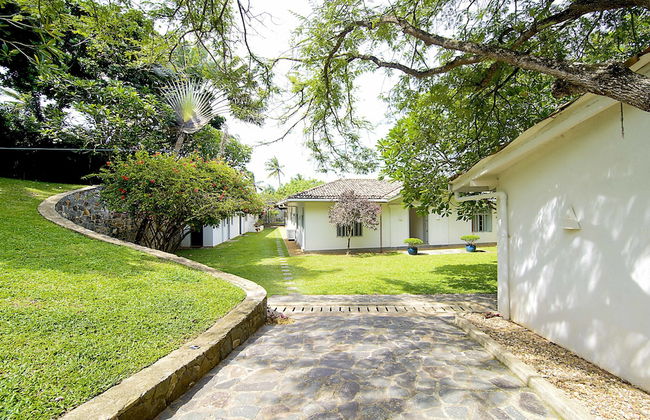 Suriyawatta - Photo 35