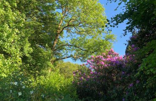 The Patio Flat - Foto 28