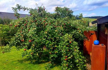 Ferienhaus Diemelsee-Sudeck - Foto 21