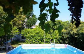 Alexandra Homestay - Foto 12