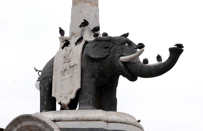 La Terrazza Apartment - Foto 15