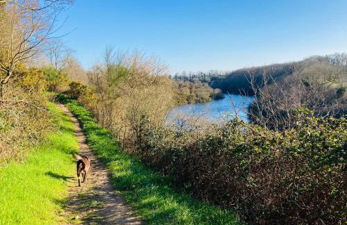 Maison rénovée en centre-ville, à 5 min des plages - Foto 66