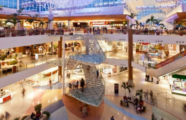 Salvador Prime - Photo 41