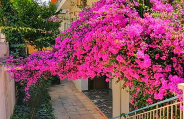 Alimos Marina Cozybase - Foto 21