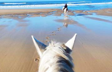 Le Vendalivet - Foto 21