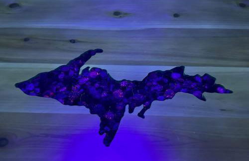 Log Cabin in the Woods - Foto 7