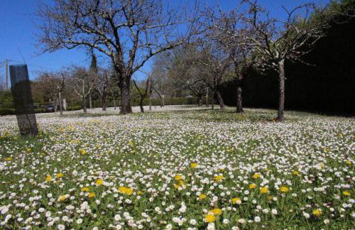 Domaine de la Brette - Photo 62