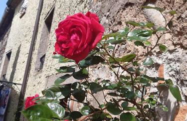 Casa Il girasole - Foto 21