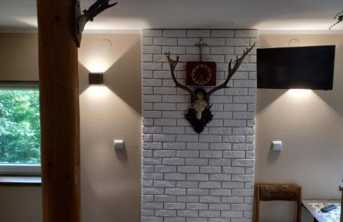 Domek w Bieńkówce - Foto 7