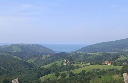 Lokate 2 Habitaciones - Foto 14