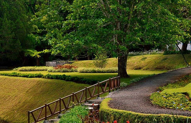 Mauritius Island Private Tea Tour - Foto 4