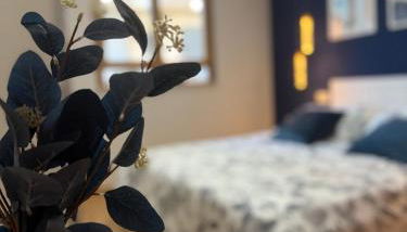 Cómodo apartamento a un paso del centro de Salamanca La Posada Charra 6 APART-37-278 - Foto 3