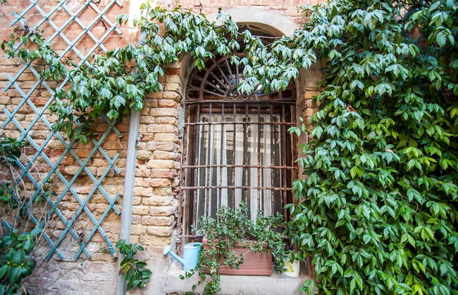 3749 Ponte Chiodo Guest House - Foto 37