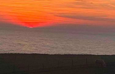 Appartement de 95 m2 bien situé - Foto 26