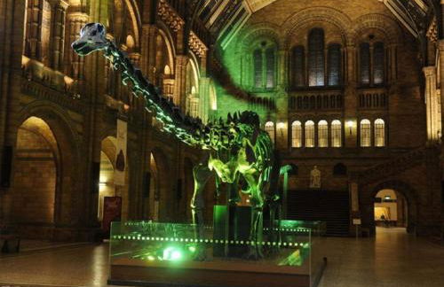 Loxley Barn, 1-bed Cottage Retreat - Photo 75