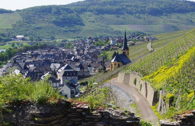 Weinvilla Heinrichshof - Foto 23