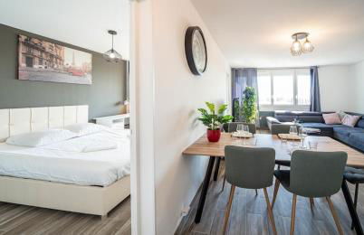 Appartement 3 chambres - Chalon - Foto 17