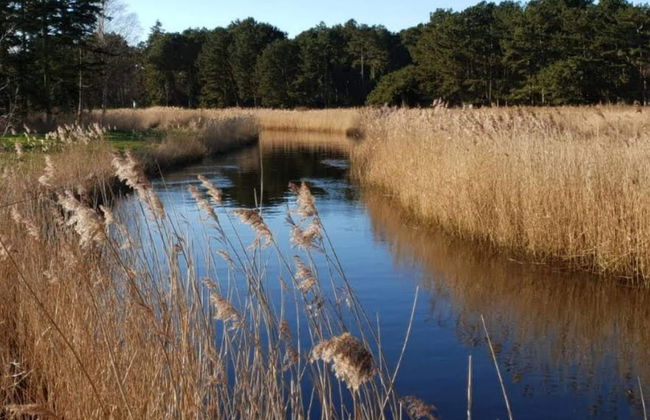 6 Person Holiday Home in Gorlev - Foto 11