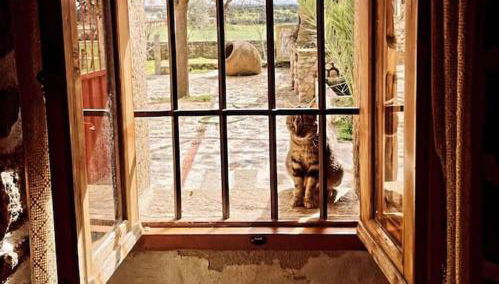 Agroturismo Los Prados Sierra de San Vicente - Foto 5