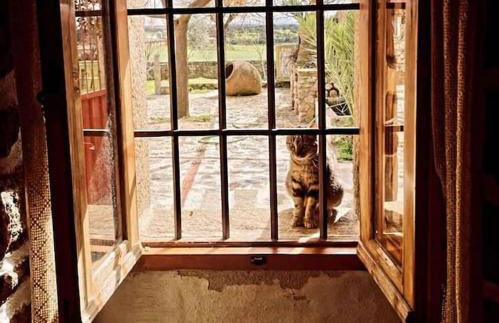 Agroturismo Los Prados Sierra de San Vicente - Foto 5