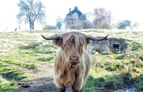The Old Barn Luksusowa Stodoła z Całorocznym Jacuzzi Kominkiem i Widokiem na Wzgórza i Las dla 8-10 osób na Dolnym Śląsku min 2 noce - Foto 50