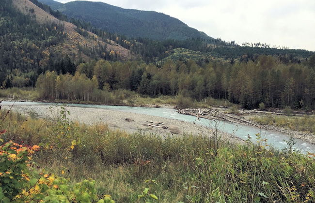 04SL - Hot Tub - BBQ - Pets OK - Sleeps 5 - Foto 26