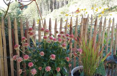 Ferienwohnung deine Rauszeit - Foto 24