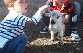 Šimun&Jakov - Foto 68