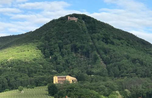 Barocker Hof Rhodt - Foto 91