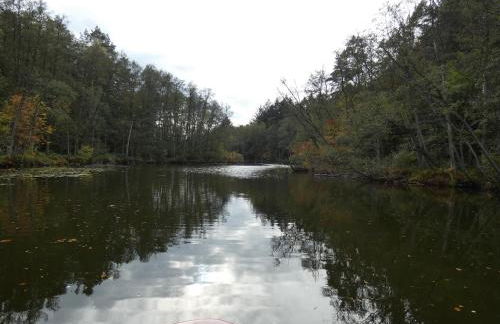 FeWo mit Balkon, Zimmermann - Foto 51