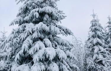 Haus Astenblick in Winterberg Ferienwohnungen mit Gastraum Wanderveranstaltungen und Familienfeiern - Foto 64