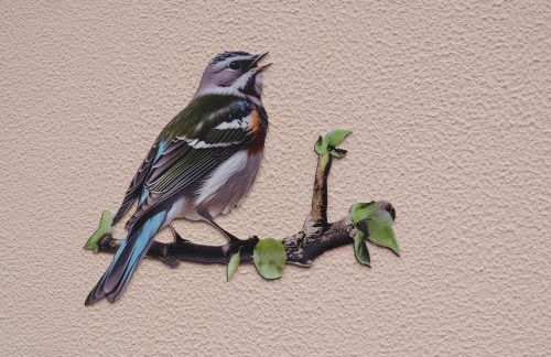 Retiro encantador em Machico - 5 min Praia e Centro A - Foto 41