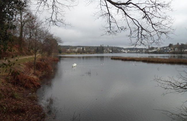 Cosy Holiday Home in Huelgoat With Terrace - Foto 36