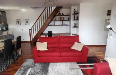 GRAND DUPLEX proche de PARIS - Foto 6